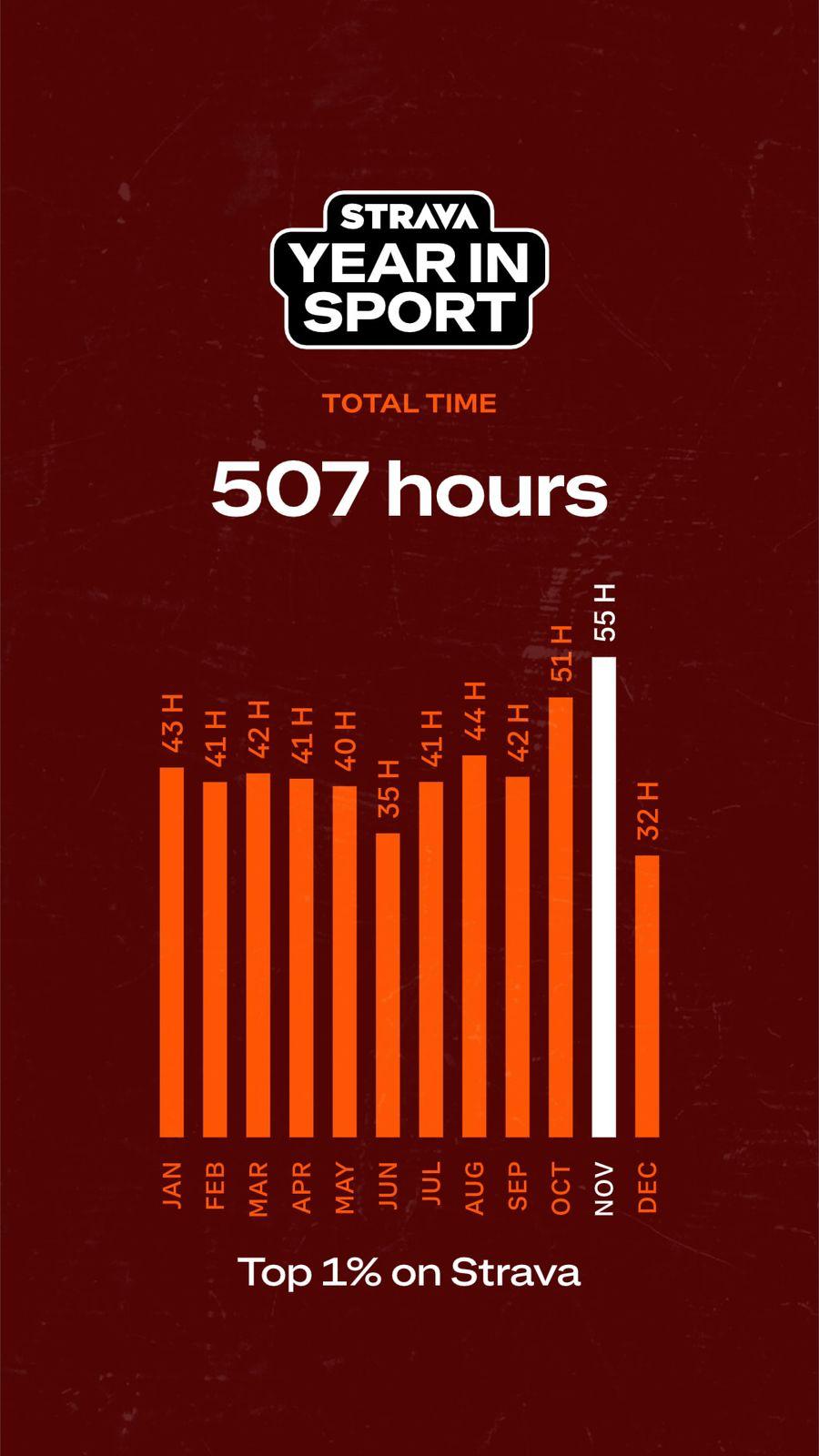 2024 — 507 Total Hours · Top 1%